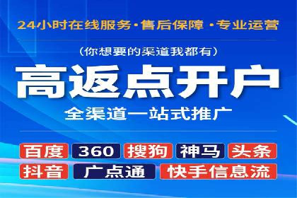 行业领先企业的sem竞价策略：成功案例剖析